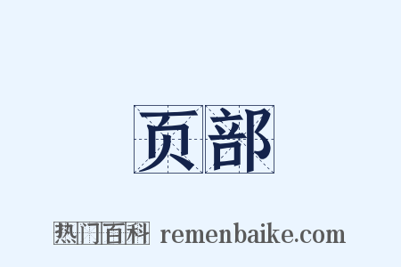 页部是什么意思的图片